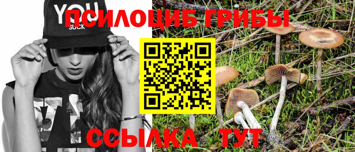 Псилоцибиновые грибы ЛСД  дарнет шоп  Щёлково  Вход с VPN  Галлюциногенные грибы Magic Shrooms 